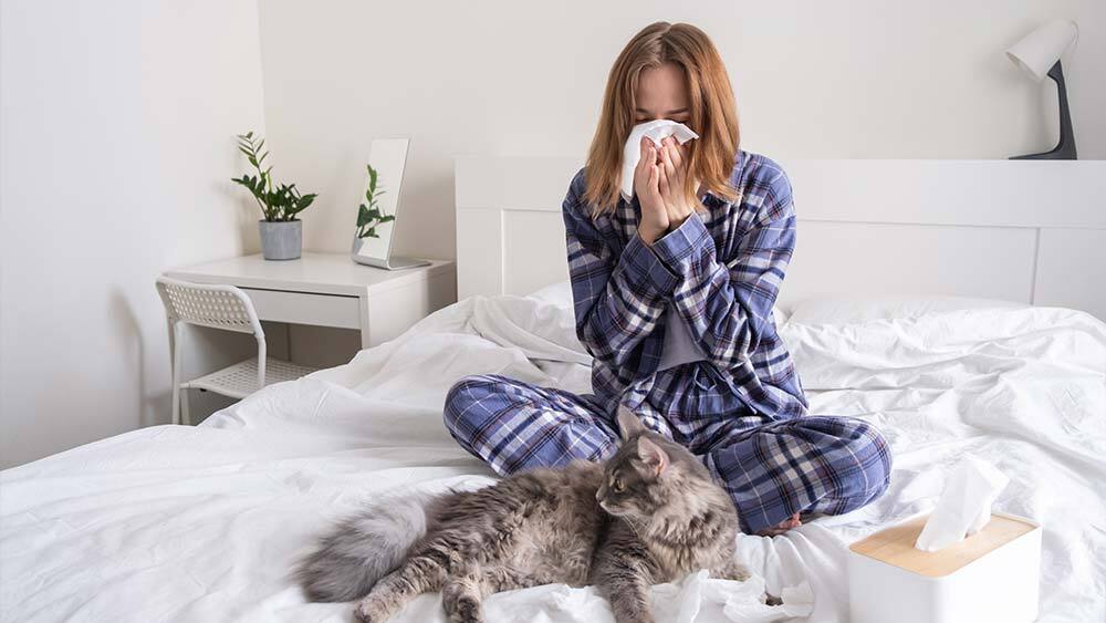 EV TEMİZLİĞİNDE ALERJEN KONTROLÜ: ASTIM VE ALERJİYE KARŞI EVDE NASIL TEMİZLİK YAPILIR?